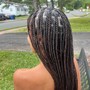 Small Knotless Box Braids