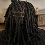 Starter Locs