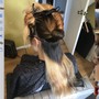 Tap in hair extensions