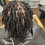 Starter Locs