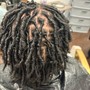 Starter Locs