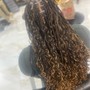 Wash, Deep Condition & Blowout