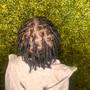 Loc Maintenance (Retwist)