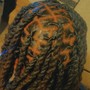 French Braid Freestyle  (Partial Head)