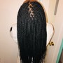 French Braid Freestyle  (Partial Head)