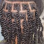 Two Strand Twist-Full Head(medium)