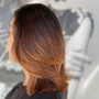 Hair Color/Highlights/Balayage Consultation