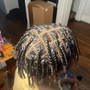 SMALL Senegalese Twists