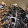 Re- Twist + Style  ( Dreadlocks - LOCS)