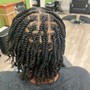 2 strand twist natural hair