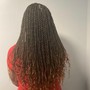 Havana Twists