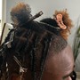 Starter Locs