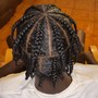 Take Down Braids/Twists