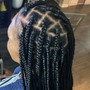 Medium Box Braids