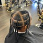 Two Strand Twist W/ Extensions