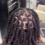 Starter Locs Medium