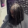 Starter Locs Medium