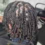 Loc Coils or Twist  (starter Locs)