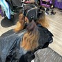 Bonding Hair Extensions, Extension Coloring, Extension Trimming, Glue in Extensions