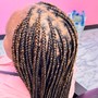 Tree Braids