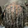 Retwist & Style (Mid back length)