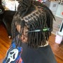 Starter Locs