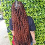 Tree Braids