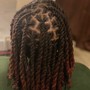 Kid Braids/Twist