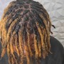 Starter Locs shaved sides