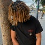 Starter Locs