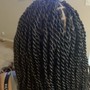 Havana Twists (Med/Large)