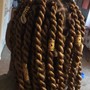 Havana Twists (Med/Large)