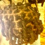 Loc Re-twist