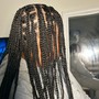 Braided Half up Half down Quick Weave