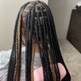 Box Braids