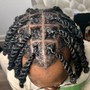 Natural Mini Twists w/ Hair Extensions