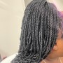 Kinky or Passion Twist (Small)