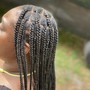 Fulani braids(kids)