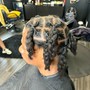 2" - 5" Loc Extensions on Loose Natural Hair