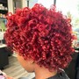 Shampoo (Rod set, roller set, twist out)