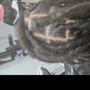 Male single plaits