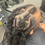 Root Touch Up