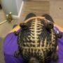 Starter Micro Locs with Extensions