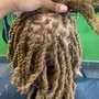 WASH & Retwist