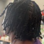 Starter comb twist Dreadlocks