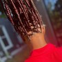 Medium Box Braids(hair included)