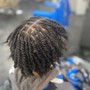 Two Strand Starter Locs