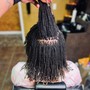 Root Color Touch Up