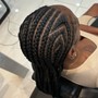 Small Box Plaits