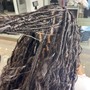 Boho Locs